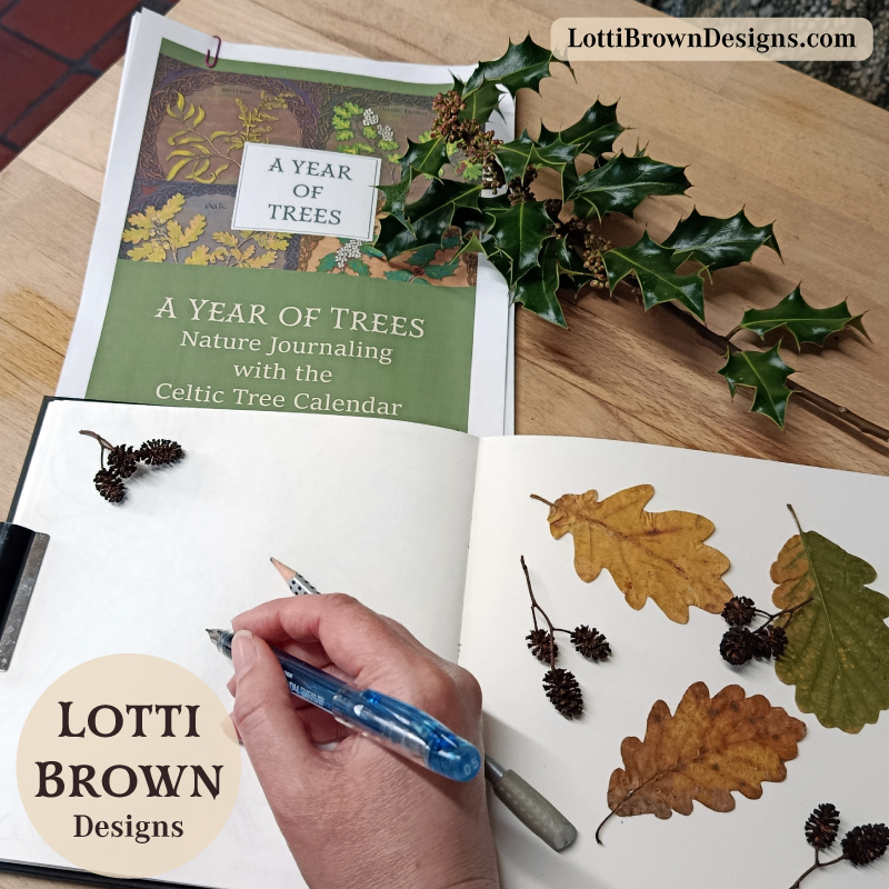 A Year of Trees - nature journaling with the Celtic Tree Calendar - a course by Lotti Brown