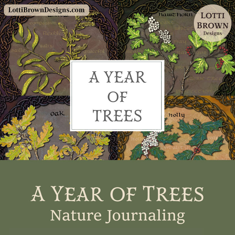 A Year of Trees nature journaling course